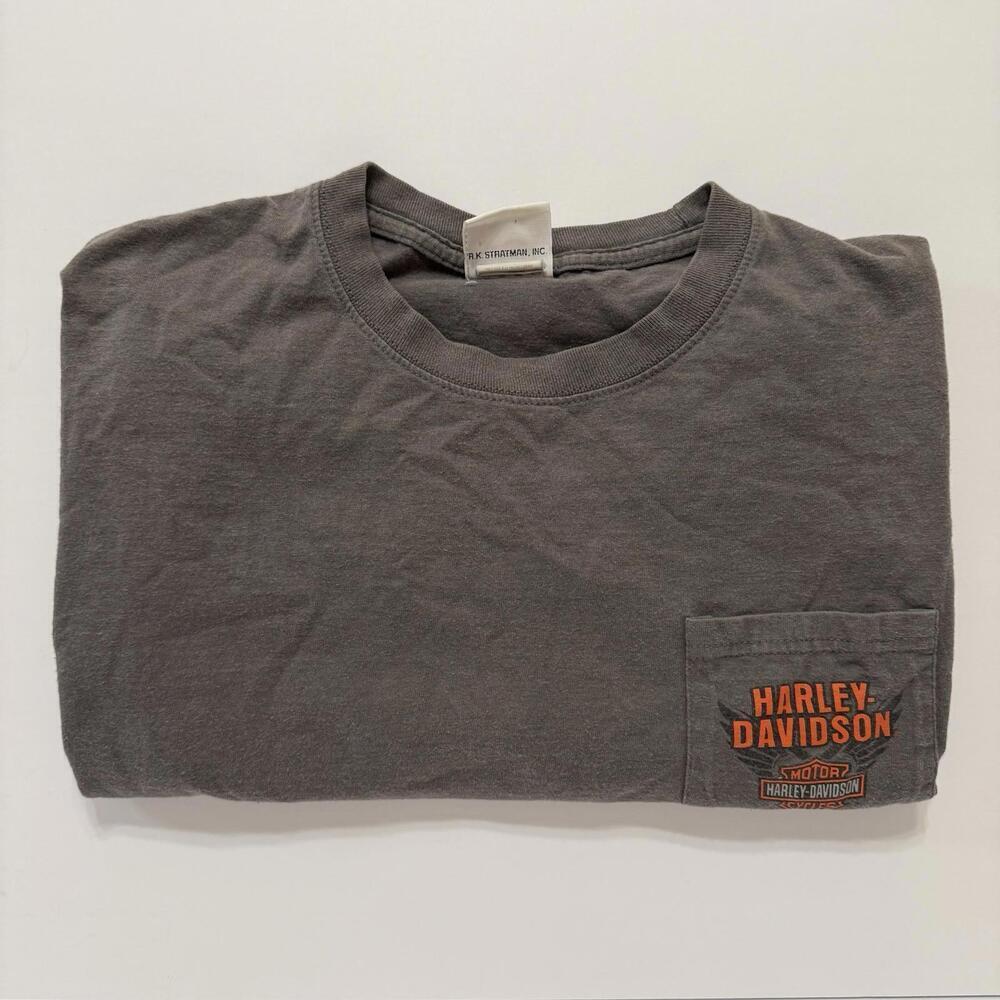 Harley Davidson Motorcycle T-shirt Grey Smokey Mountain Gatlinburg TN Size Large